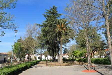 Imagen Parque Municipal