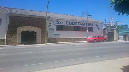 Imagen Almazara Sociedad Cooperativa