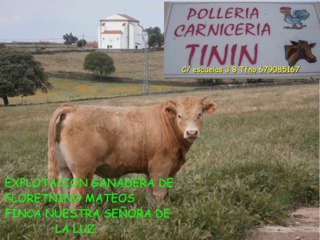 Imagen Carnicería Tinín